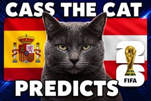 OK9: Mèo tiên tri dự đoán kết quả Bồ Đào Nha vs Tây Ban Nha tại World Cup 2026