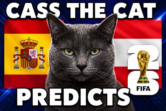 OK9: Mèo tiên tri dự đoán kết quả Bồ Đào Nha vs Tây Ban Nha tại World Cup 2026 2 OK9: Mèo tiên tri dự đoán kết quả Bồ Đào Nha vs Tây Ban Nha tại World Cup 2026